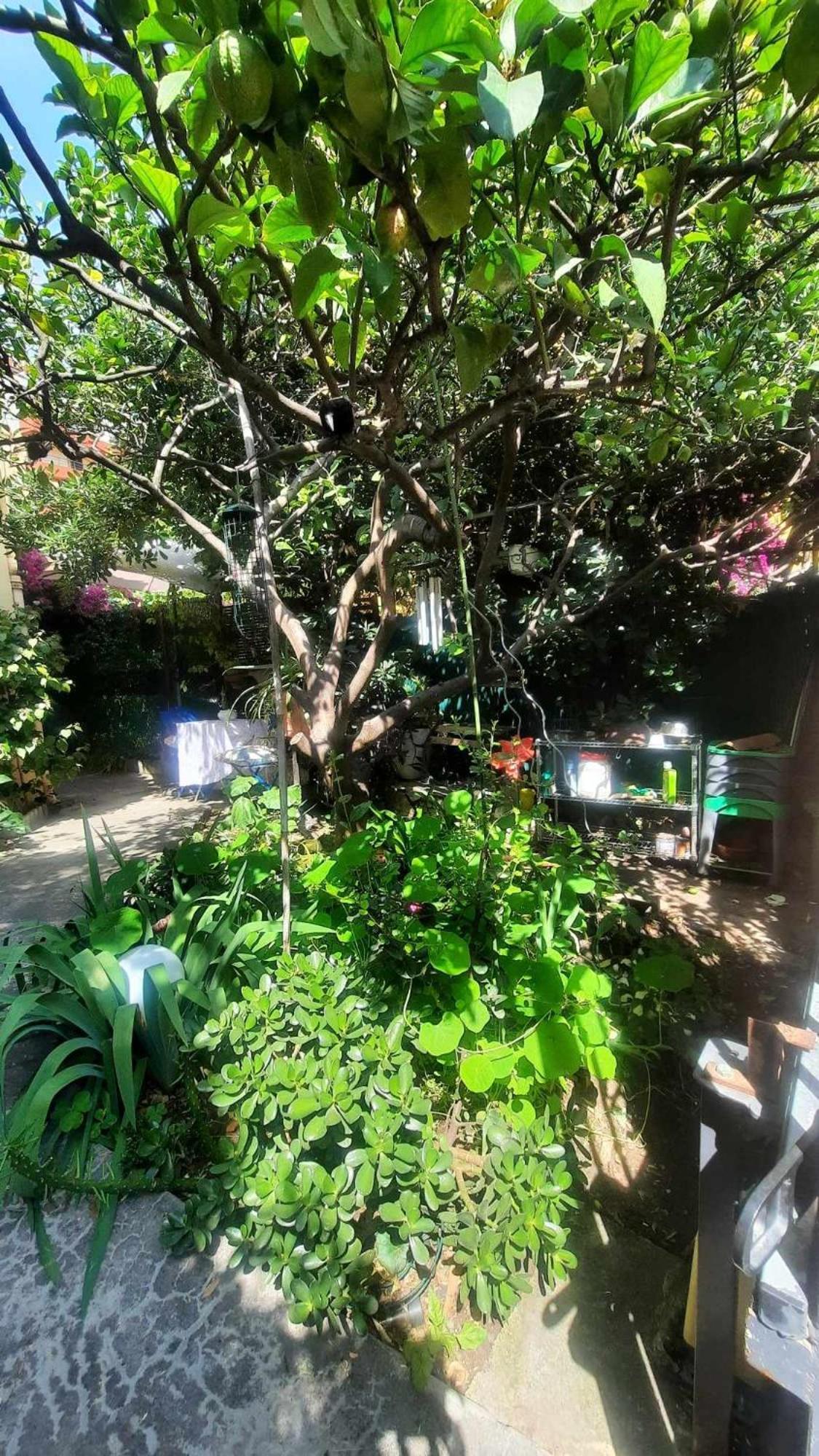 Ferienwohnung Les Violettes Menton Exterior foto